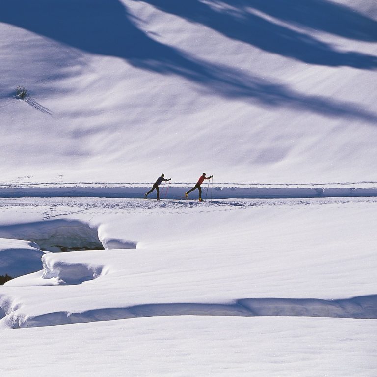 Langlauf im Bregenzerwald, Langlaufloipen (c) Peter Mathis/Bregenzerwald Tourismus (c) Peter Mathis / Bregenzerwald Tourismus Langlauf im Bregenzerwald, Langlaufloipen (c) Peter Mathis/Bregenzerwald Tourismus (c) Peter Mathis / Bregenzerwald Tourismus