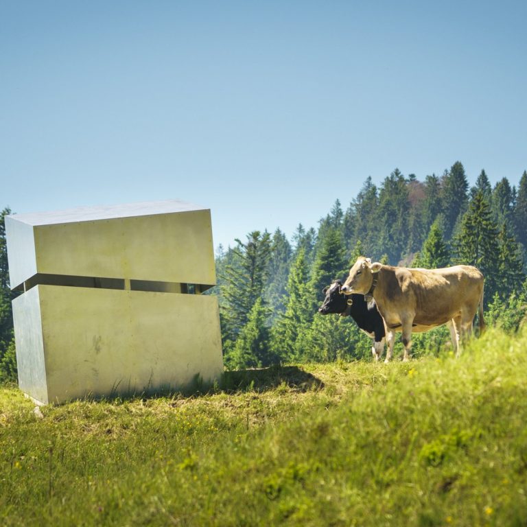Georunde Rindberg, Sibratsgfäll, Bregenzerwald (c) Dietmar Denger / Vorarlberg Tourismus Georunde Rindberg, Sibratsgfäll, Bregenzerwald (c) Dietmar Denger / Vorarlberg Tourismus