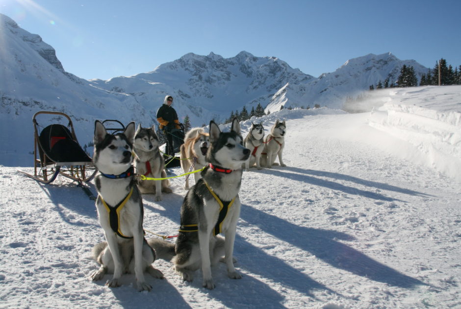 Husky Tour in Warth-Schröcken © Marc Van Landeghem