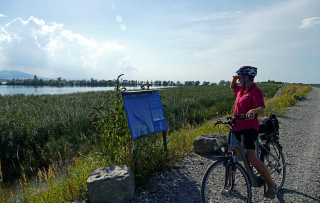 Radfahren Rheinmündung (c) Joachim Negwer /Vorarlberg Tourismus