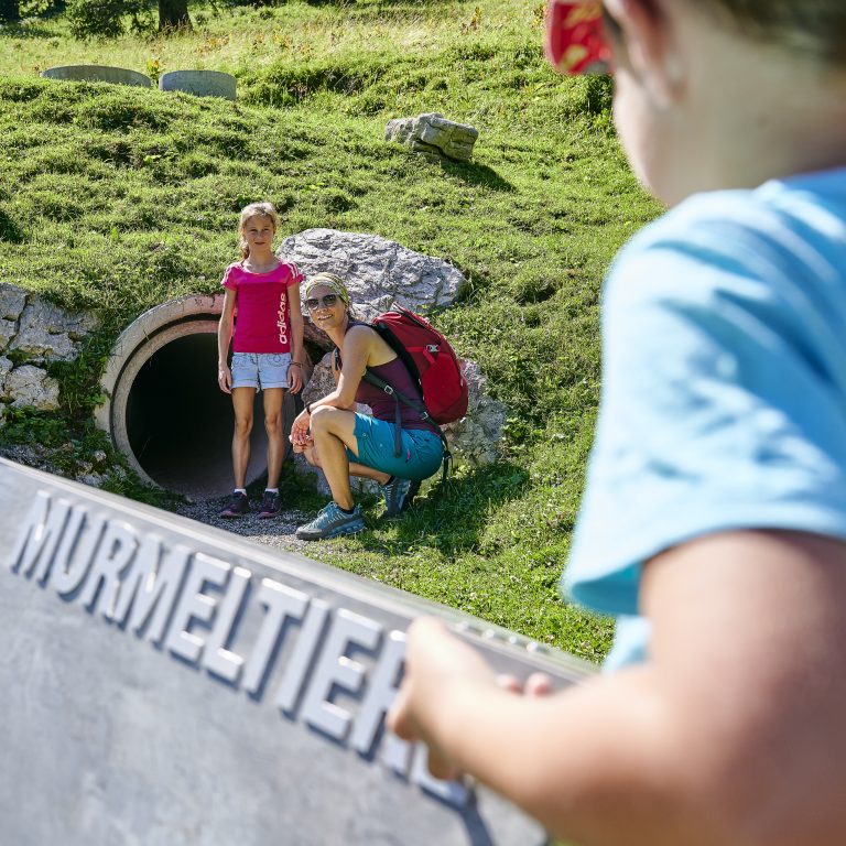 Tierwelten-Weg Brandnertal (c) alexander Kaiser - Bergbahnen Brandnertal