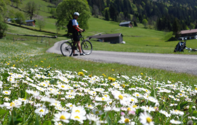 Rad-Fruehling-Grosses-Walsertal-Alpe-Laguz(c)Verena Hetzenauer-Vorarlberg-Tourismus © Verena Hetzenauer undefined