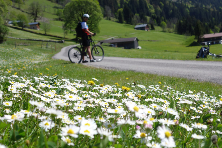Rad-Fruehling-Grosses-Walsertal-Alpe-Laguz(c)Verena Hetzenauer-Vorarlberg-Tourismus © Verena Hetzenauer undefined