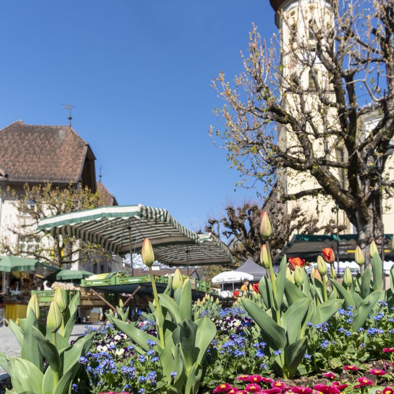 Markt am Kirchplatz Schruns, Frühling Frühsommer (c) Agnes Ammann - Vorarlberg Tourismus