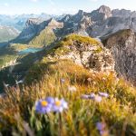 Omeshorn Lech (c) Lucas Tiefenthaler - Vorarlberg Tourismus