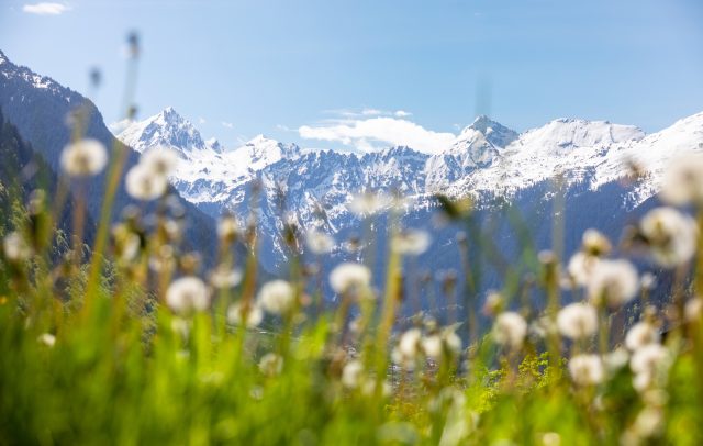 Frühling im St. Gallenkirch (c) Stefan Kothner