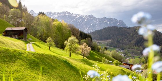 Frühling in Tschagguns (c) Stefan Kothner - Montafon Tourismus